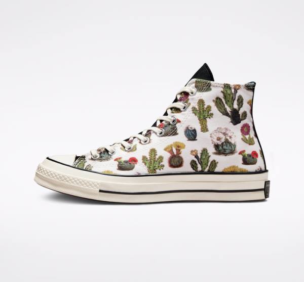 Zapatillas Altas Converse Chuck 70 Succulents Tenis Negras | CV-491KHT