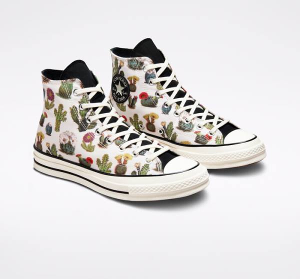 Zapatillas Altas Converse Chuck 70 Succulents Tenis Negras | CV-491KHT