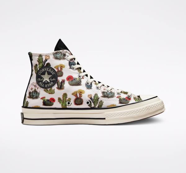 Zapatillas Altas Converse Chuck 70 Succulents Tenis Negras | CV-491KHT