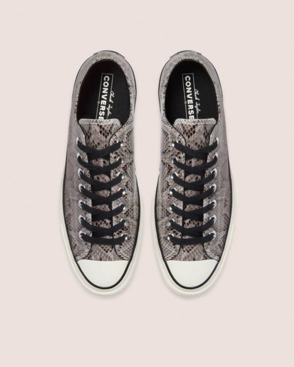 Zapatillas Bajas Converse Chuck 70 Reptile Gamuza Tenis Gris | CV-790LPZ