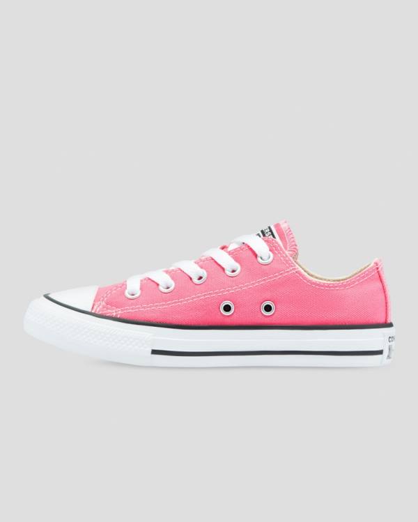 Zapatillas Bajas Converse Chuck Taylor All Star Seasonal Colour Tenis Rosas | CV-153XQW