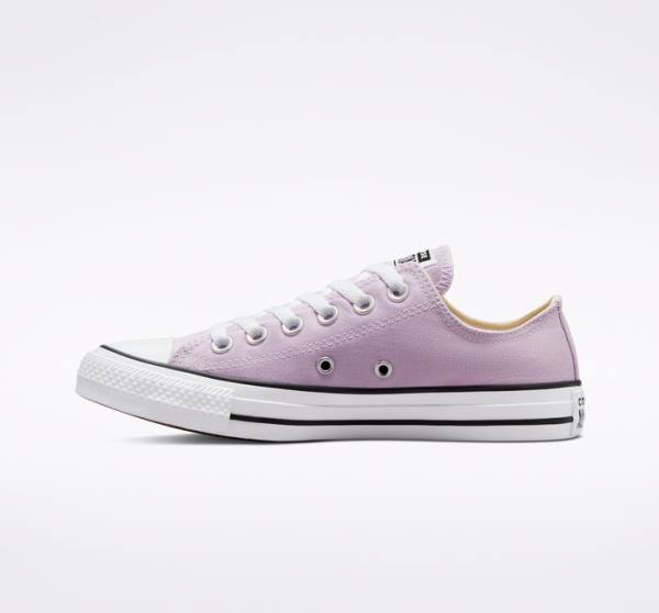 Zapatillas Bajas Converse Chuck Taylor All Star Seasonal Color Tenis Lavanda | CV-165OAT