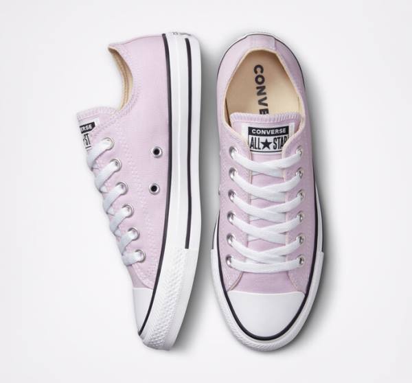 Zapatillas Bajas Converse Chuck Taylor All Star Seasonal Color Tenis Lavanda | CV-165OAT