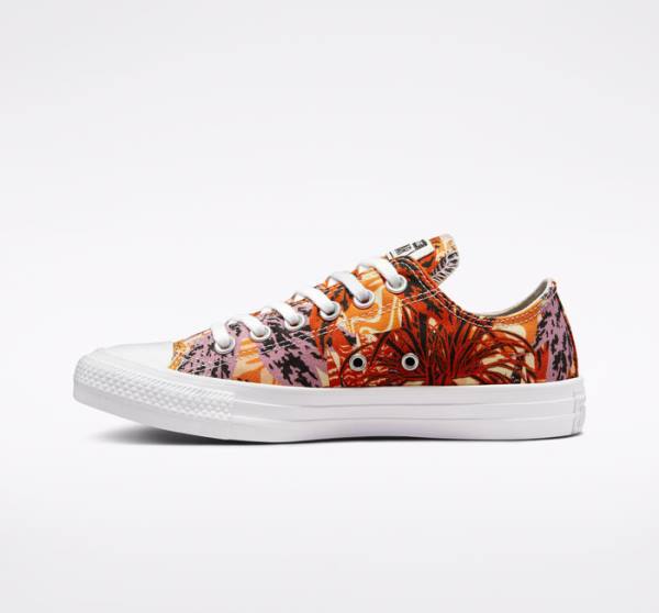 Zapatillas Bajas Converse Chuck Taylor All Star Tropical Florals Tenis Naranjas Negras Blancas | CV-527KPD