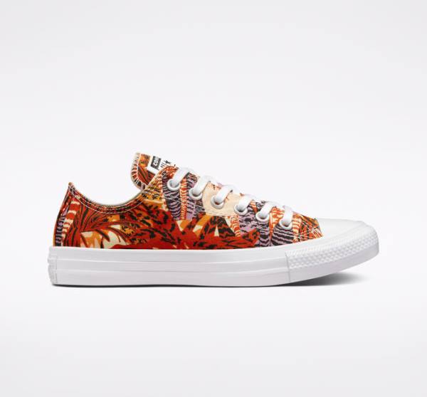 Zapatillas Bajas Converse Chuck Taylor All Star Tropical Florals Tenis Naranjas Negras Blancas | CV-527KPD